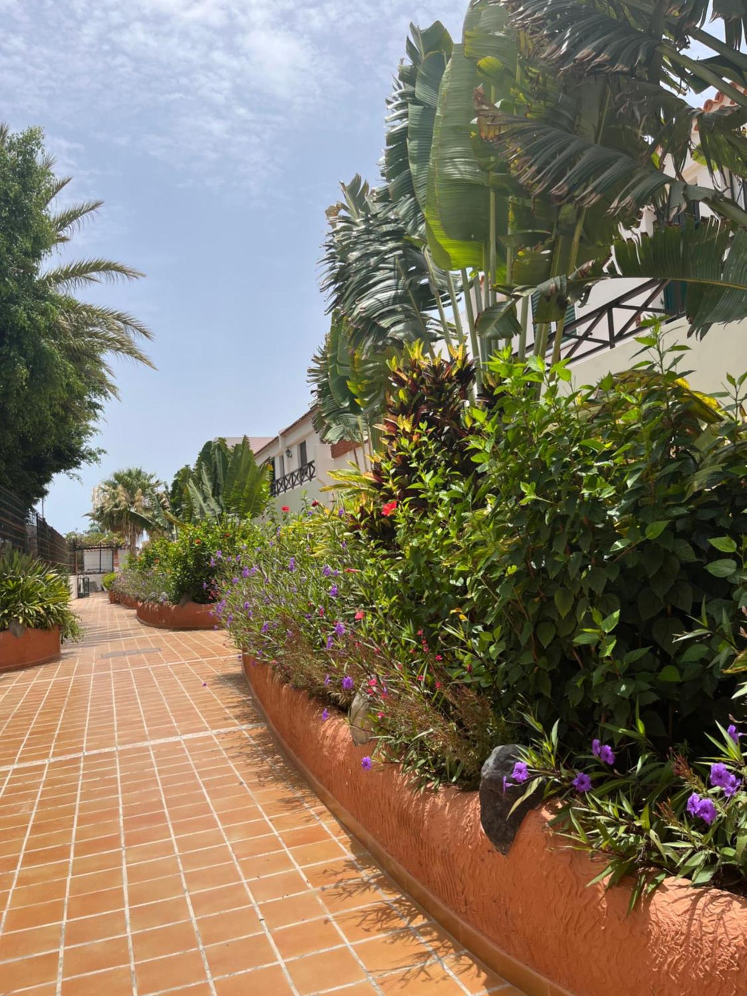 Casa Parque Don Jose 2 Apartment Коста дел Силенцио Екстериор снимка